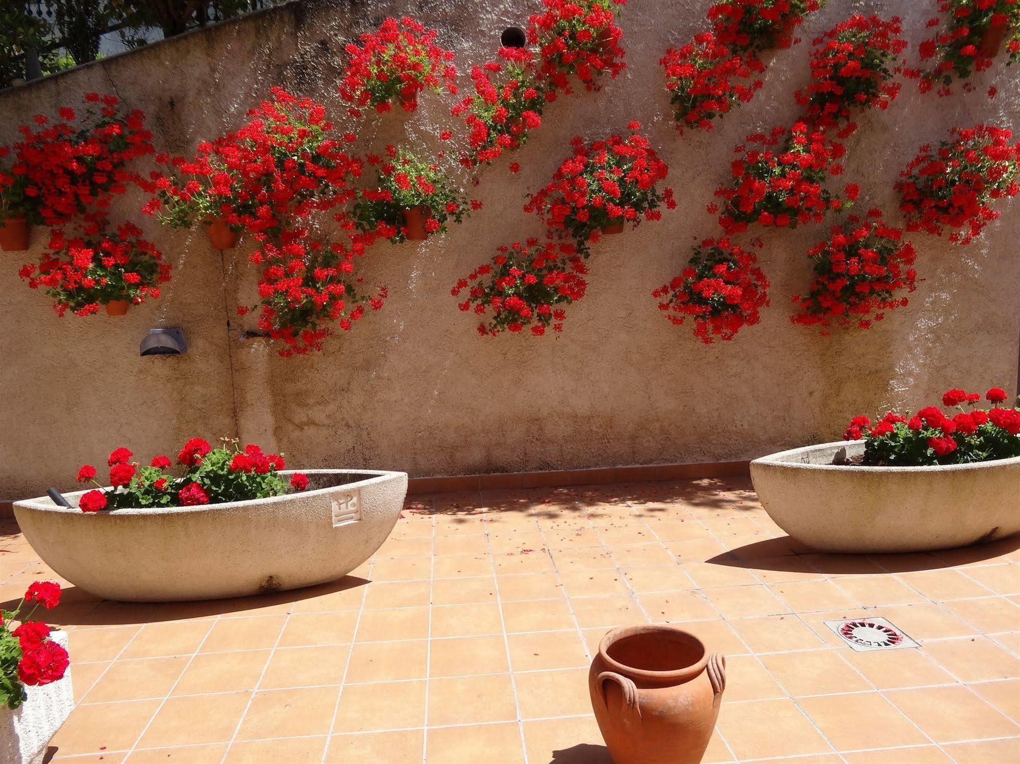Hotel El Pescador Perillo ภายนอก รูปภาพ
